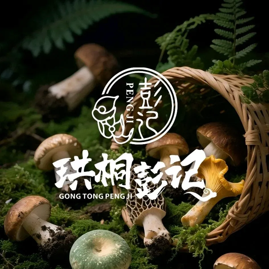 珍味鲜野生菌火锅(华润店)
