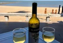 Sagres Shellfish Restaurant美食图片