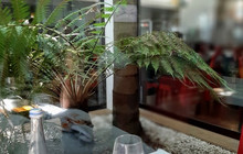 Restaurante A Barca餐厅图片