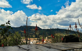 Salvaje Amistoso