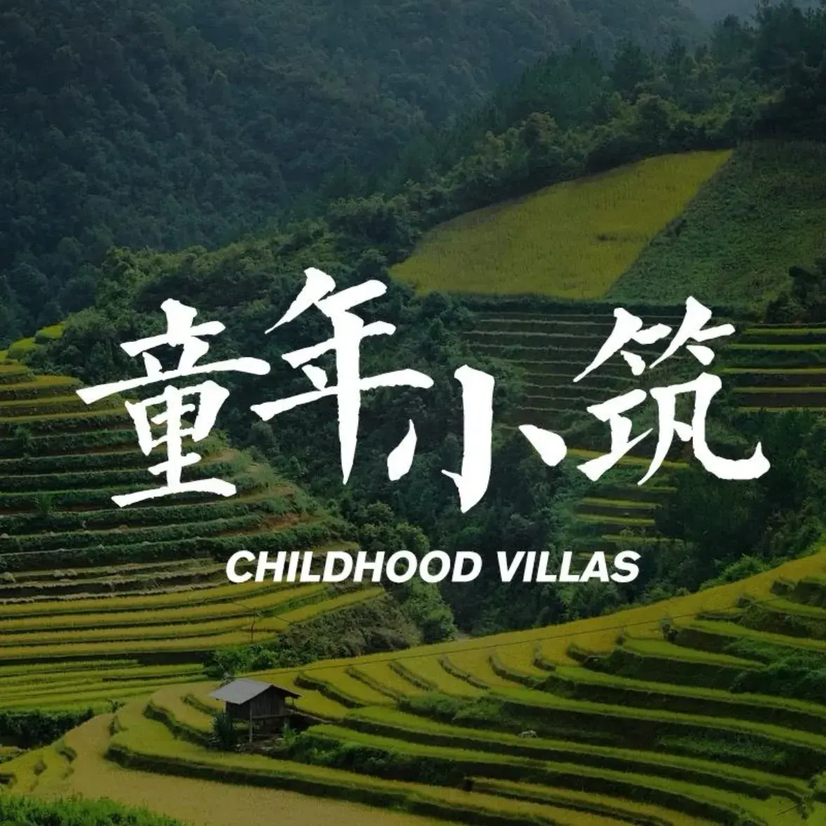 童年小筑餐厅·十一年传承(浙大紫金港店)美食图片