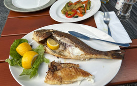 Ariston Restaurant