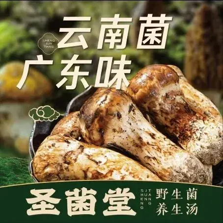 圣菌堂·野生菌养生汤(丹灶店)