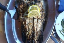 Porto美食图片