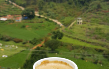 Cafe Coffee Bean餐厅图片