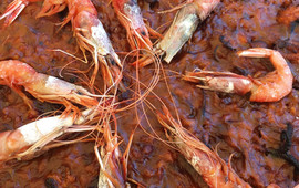 Ses Salines
