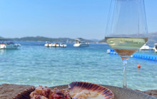 Restaurant Dubrovnik, Lopud餐厅图片