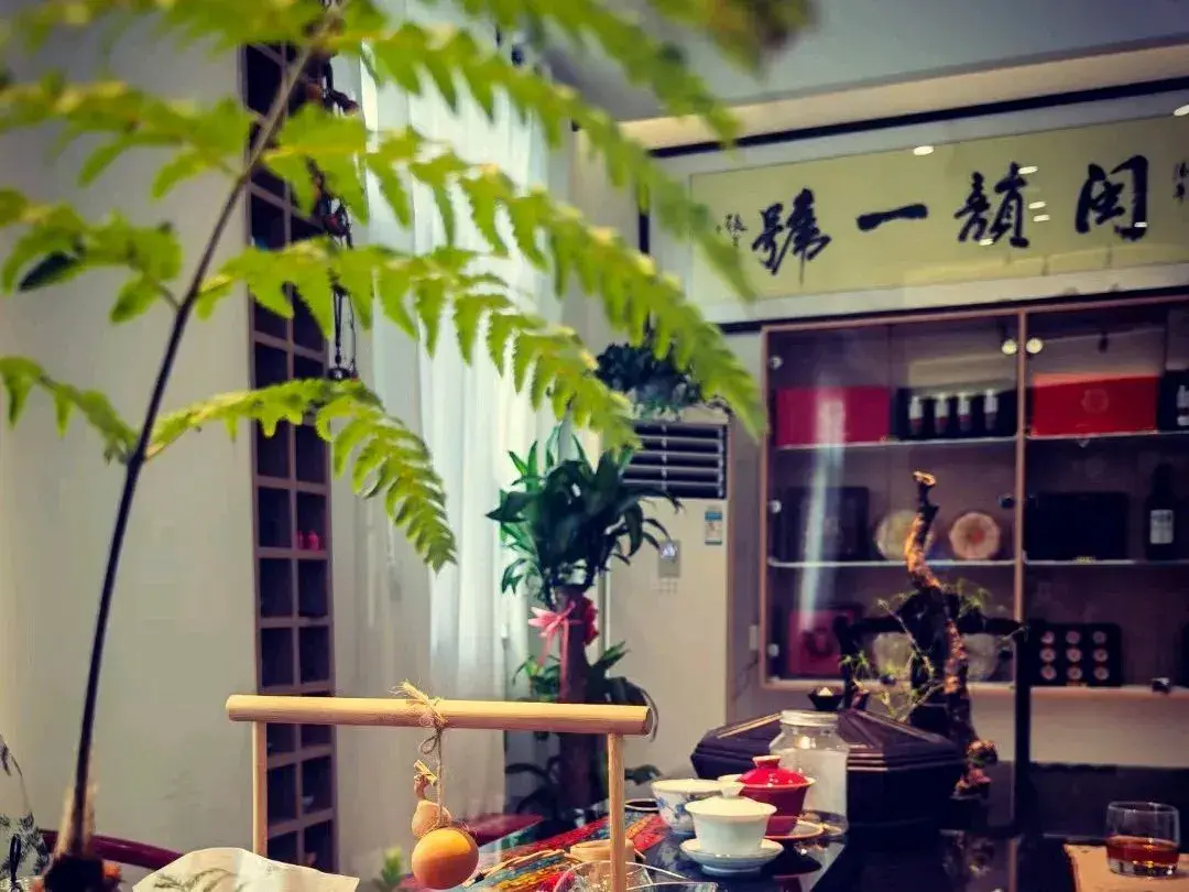 闽韵一号