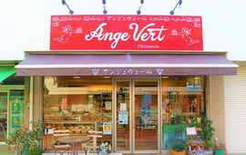 AngeVert