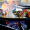 The Rose Inn & Delhi Spice