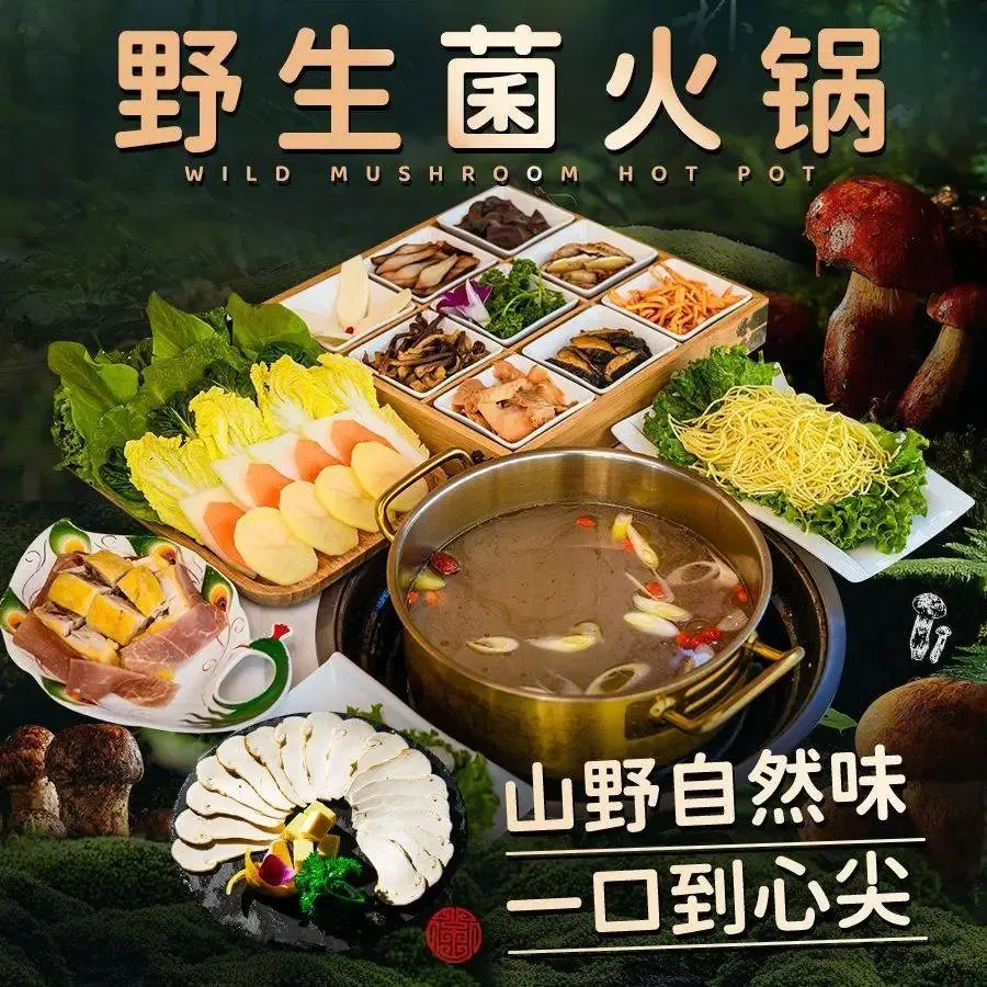 阿鹏故事野生菌物料海景餐厅