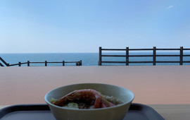 Amakusa Blue Garden
