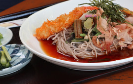 Konashi No Kinoshita
