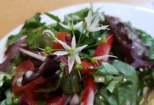 The Garden Cafe美食图片