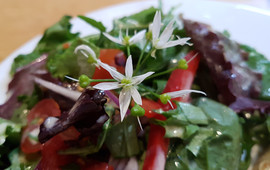 The Garden Cafe