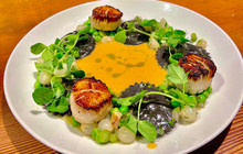 Buono Osteria餐厅图片
