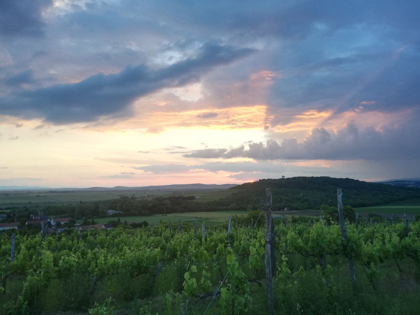 Szedmak Wine House