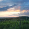 Szedmak Wine House