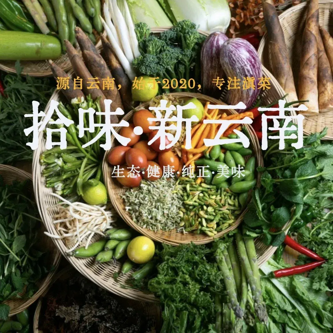 拾味新云南