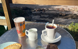 Fishcombe Cove Cafe