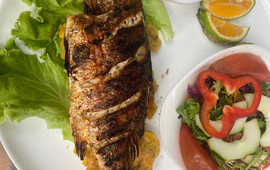 Coconutz Sports Bar & Restaurant