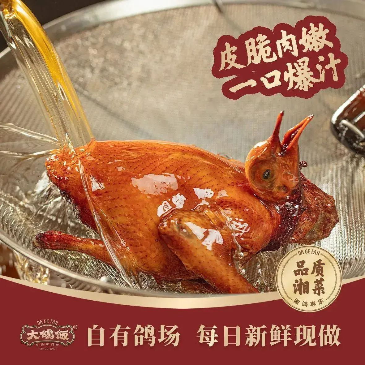 大鸽饭(梦泽园店)