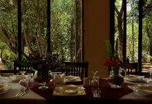 Abay Minch Lodge Restaurant美食图片