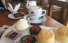 Cafe Penguino餐厅图片
