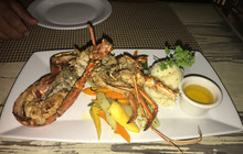 Kenny's Italian Cafe餐厅图片
