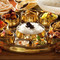 SarpN Group Indian & Nepalese Restaurant