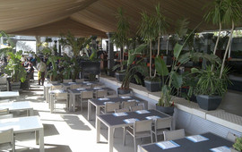 Grand Cafe