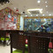 Giani Ice Cream