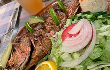 El Jakal seafood餐厅图片