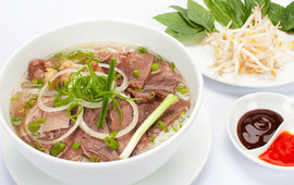 Viet Guy