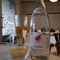 Cafe del Sol Classico