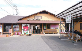 Yomokichi Udon Yoshimi Honten