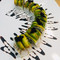 Shouri Sushi and Tepanyaki