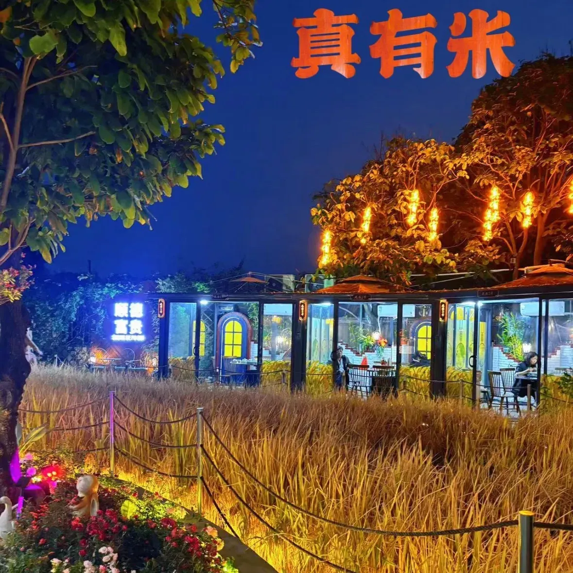 真有米·顺德田园私房菜(大汕岛渡口店)