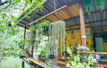 Nomkhon Station : Cafe'KohKood餐厅图片
