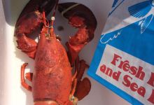 The Lobster Pound购物图片