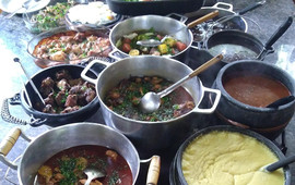 Restaurante Ninho Do Jacu