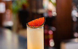 Exotica Sinspot