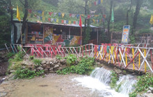 Shive Cafe餐厅图片