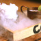 Coffee Culture