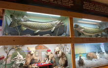 Moccasin Bar餐厅图片