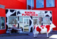 Big Moo Ice Cream Parlour美食图片