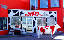 Big Moo Ice Cream Parlour餐厅图片