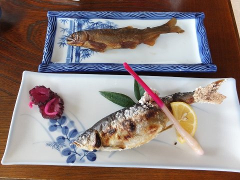 Sazanami