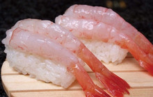 Rotating Sushi Matsuriya Tokachi Otofuke餐厅图片