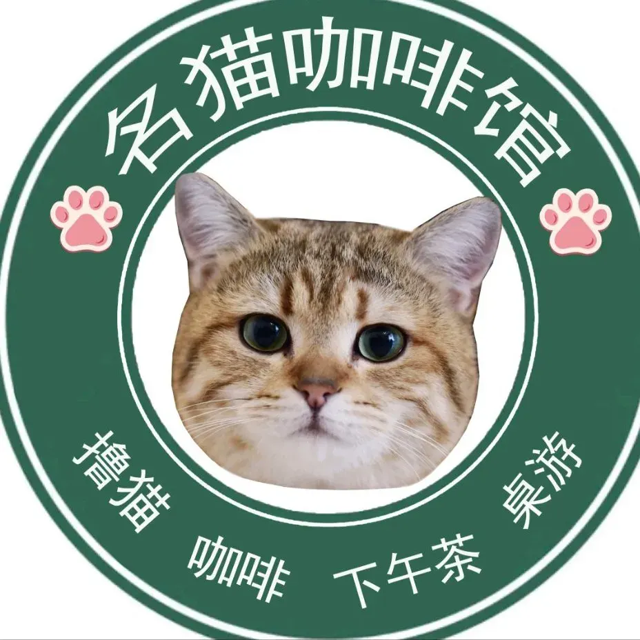 名猫咖啡馆·撸猫·拼豆